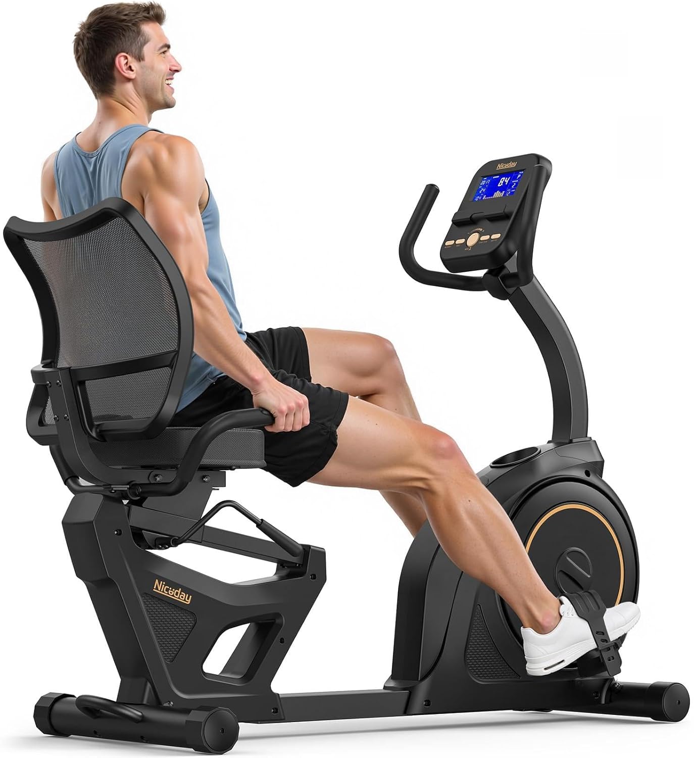 Niceday Recumbent Exercise Bike, Recumbent Bike for Home